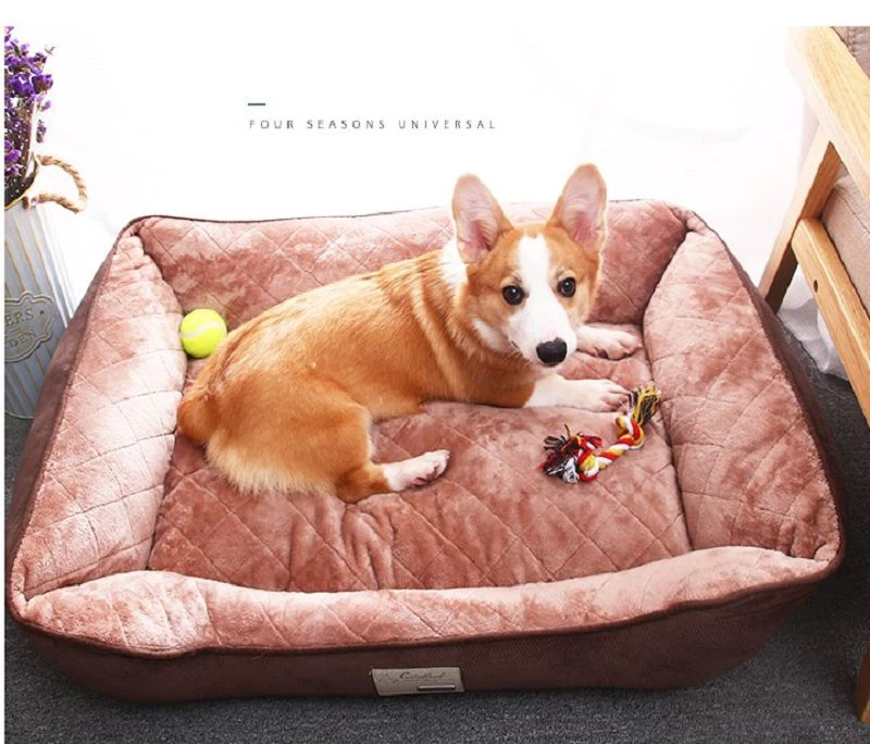 pet velvet fabric(001) product-800-684
