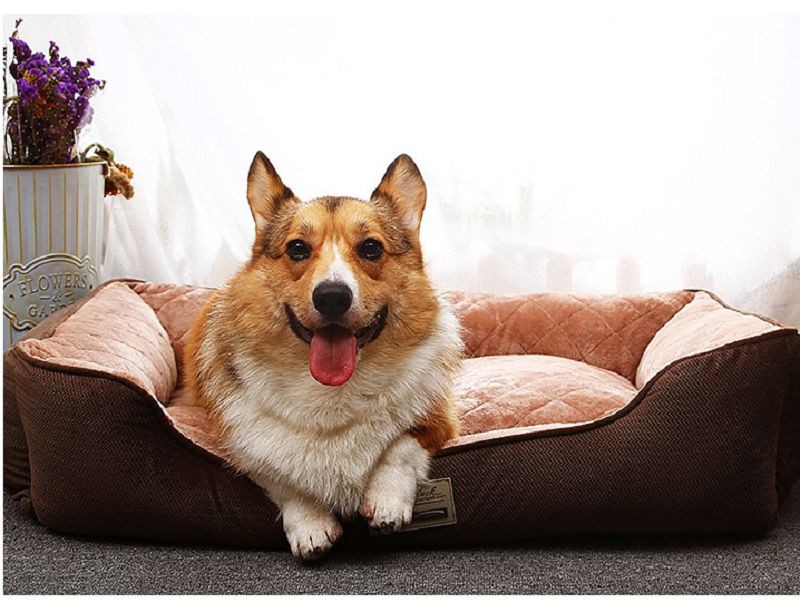 pet cushion fabric(001) product-800-602