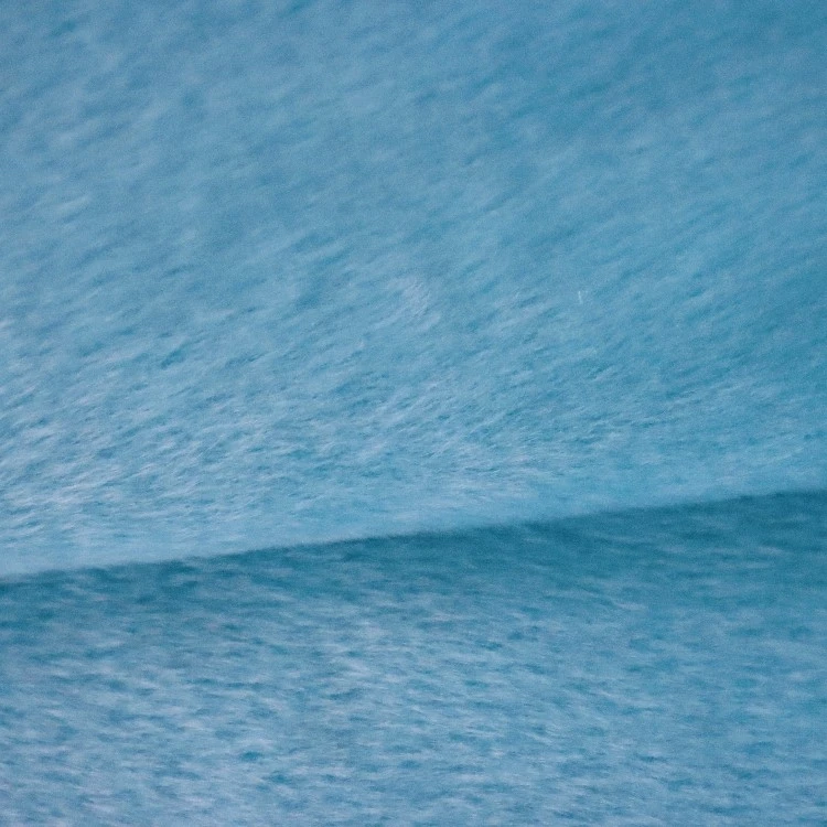 IMG7375 IMG7375